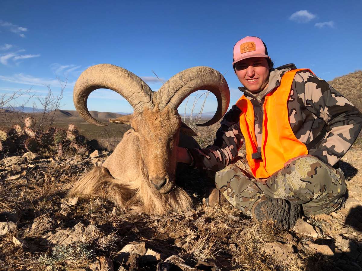 Texas Aoudad Hunting